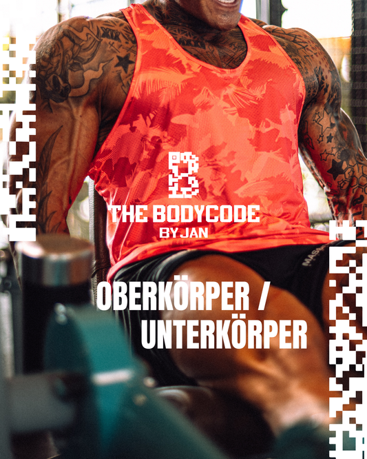Oberkörper/Unterkörper