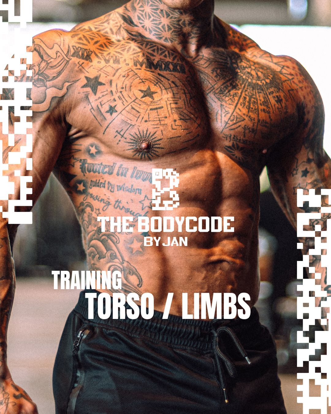 Training Torso / Limbs